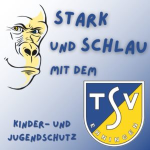 Mehr über den Artikel erfahren PRÄVENTIONSSCHULUNG „Sensibilisierung gegen (sexualisierte) Gewalt“ 