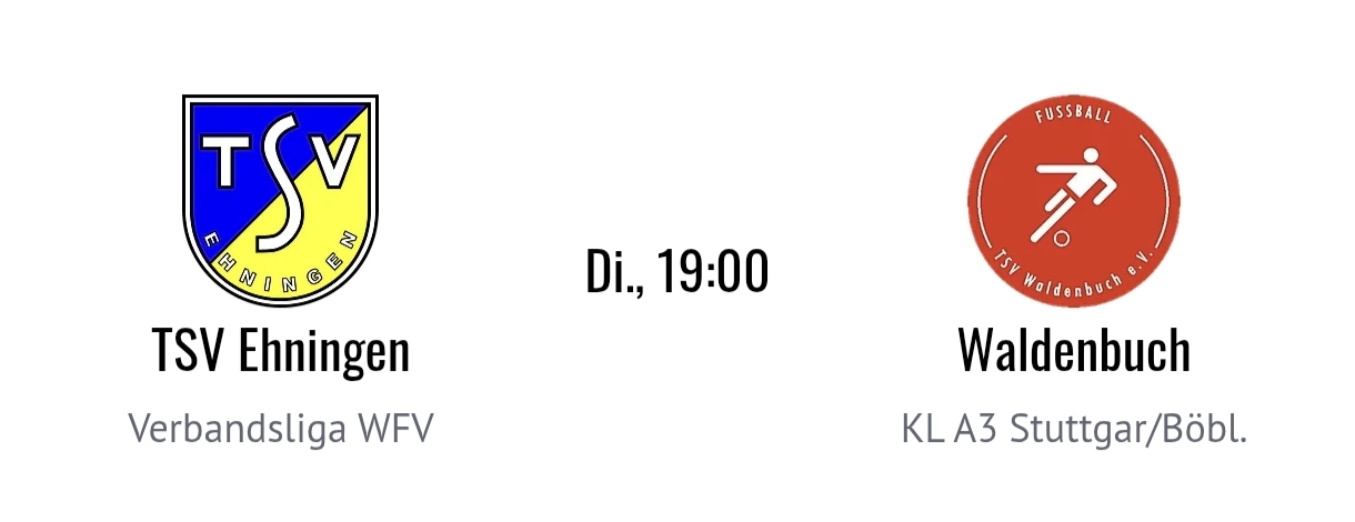 Mehr über den Artikel erfahren Testspiel daheim