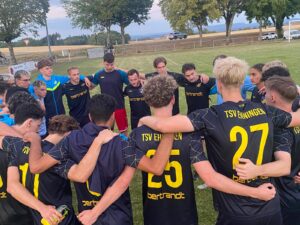 Mehr über den Artikel erfahren Der TSV Ehningen steht im Achtelfinale des wfv-Pokal