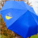 TSV Taschenschirm