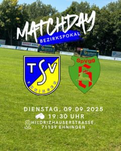 Read more about the article Vorschau Pokal -Rückblick Freundschaftsspiel 