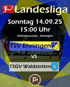 Read more about the article Prüfsteine für beide Teams auf der Schalkwiese 