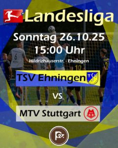 Read more about the article Zurück in die Erfolgsspur? / Spielabsage