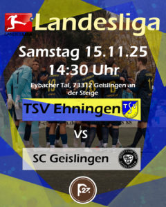 Read more about the article Anspruchsvolle Aufgaben in der Fremde