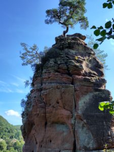 Read more about the article Herbstwanderung 2025