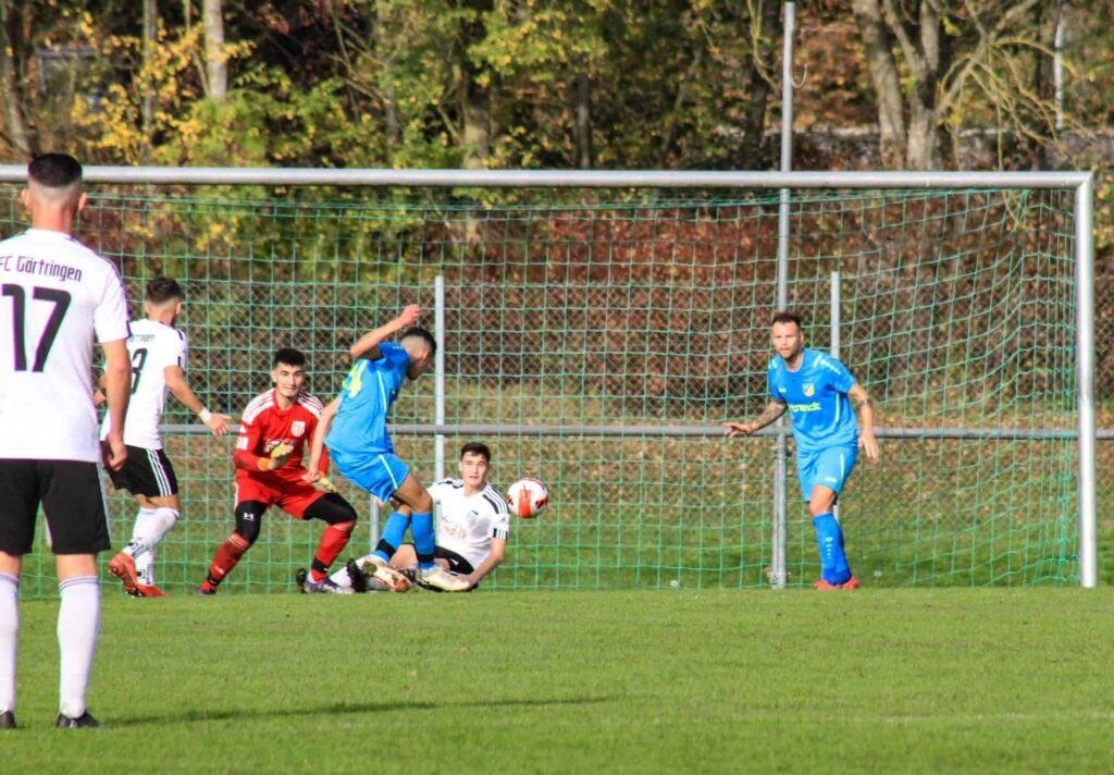 received_1538209473272226